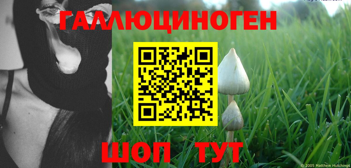 Псилоцибиновые грибы Cubensis Белая Калитва